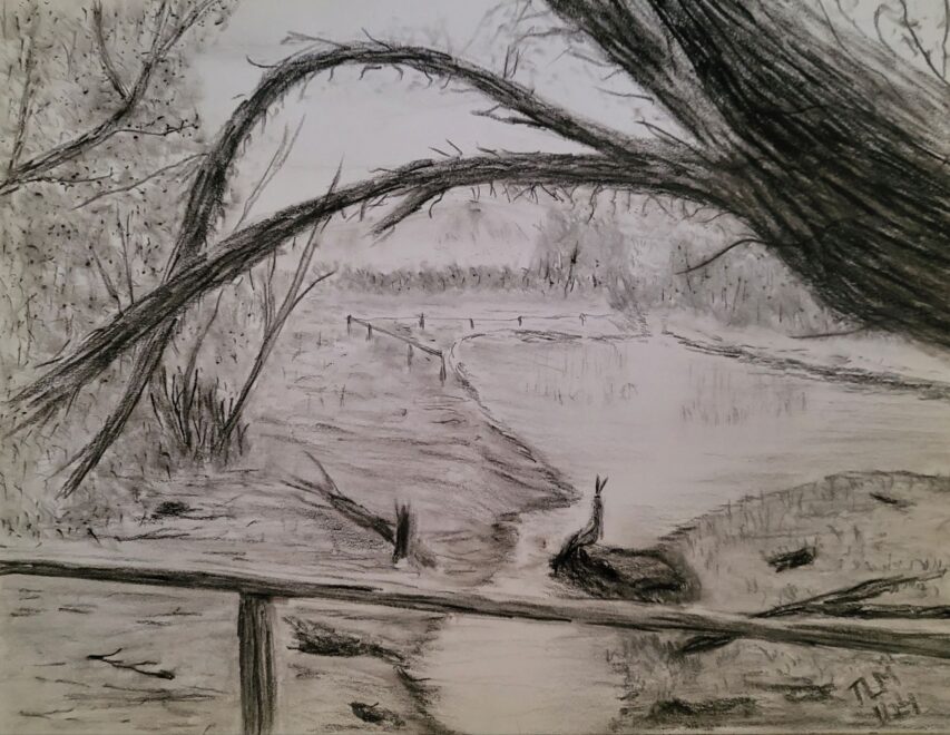 Warm Waters, Ancient Spirit