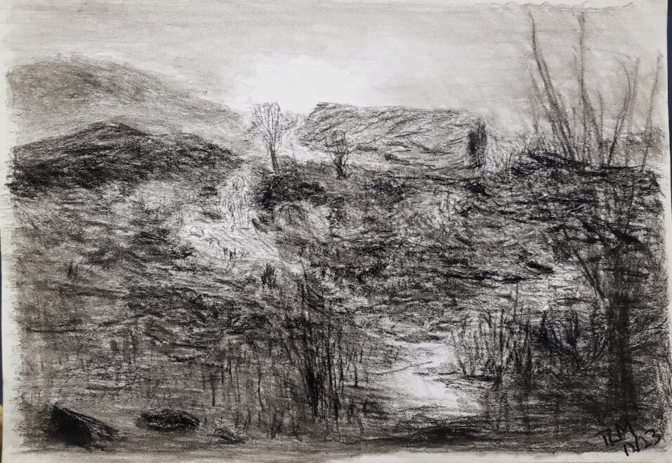 Spirit of the Native